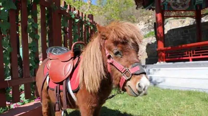 洛阳市高新区总工会开展“送温暖”慰问活动